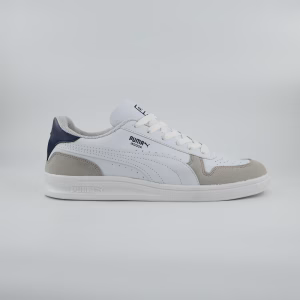 Puma inDoor